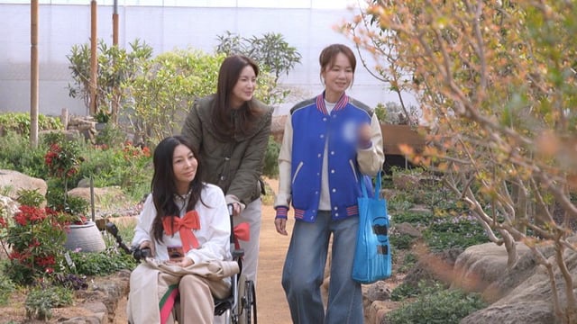 /사진=KBS 1TV '황신혜의 같이삽시다'