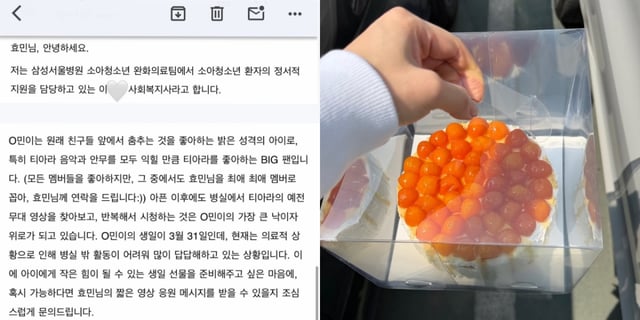 /사진=효민 SNS