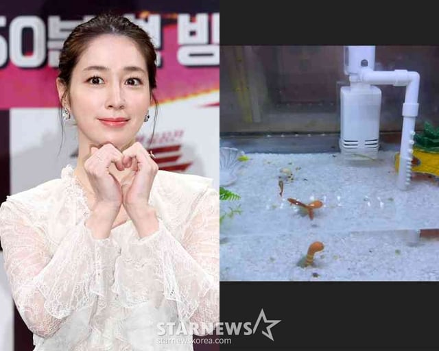/사진=스타뉴스, 이민정 SNS