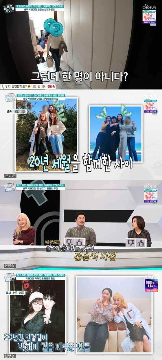 /사진=TV조선 '퍼펙트 라이프' 캡처