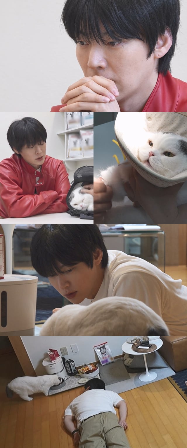 /사진=MBC ‘나 혼자 산다’