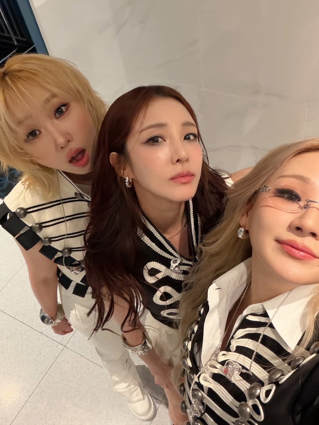 /사진=산다라박 SNS