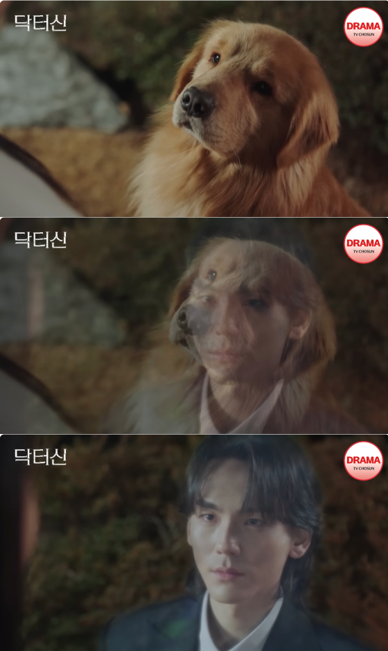 /사진=TV조선