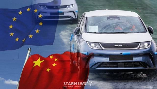 BYD 돌핀