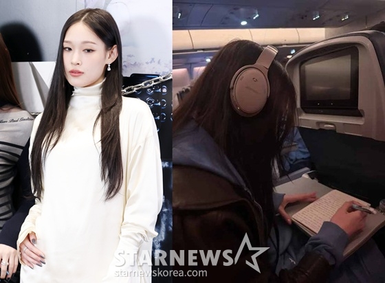 /사진=스타뉴스, 애니 팬 플랫폼