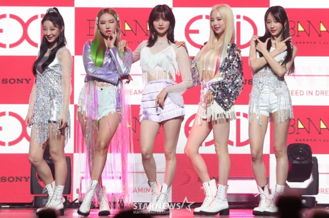 그룹 EXID /사진=스타뉴스