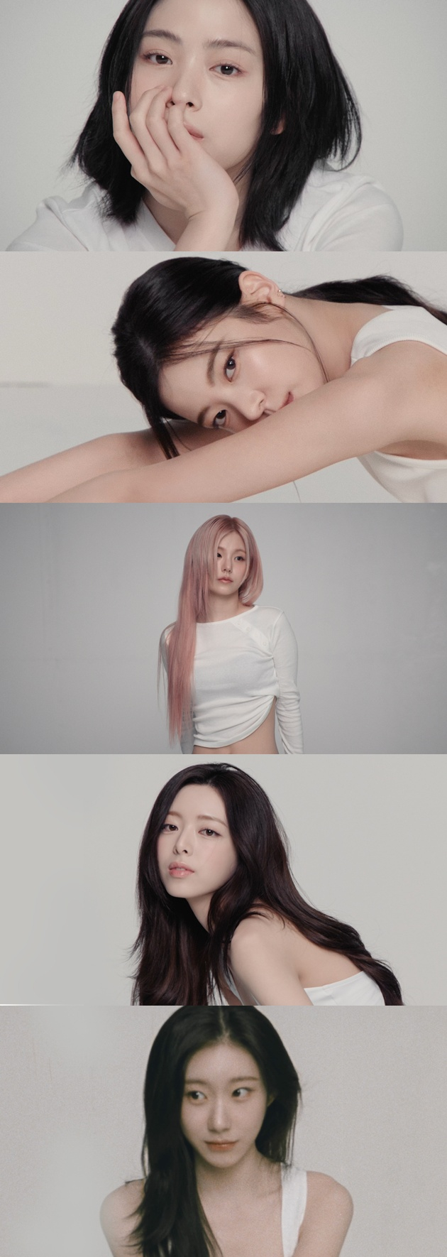 /사진=JYP