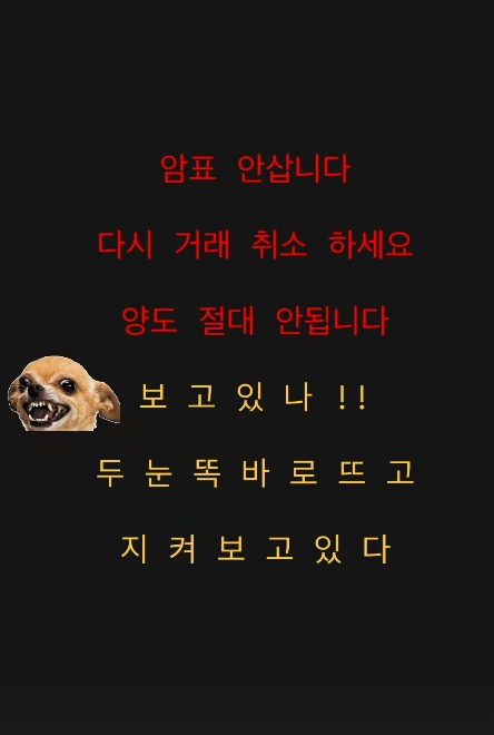 /사진=나나 SNS