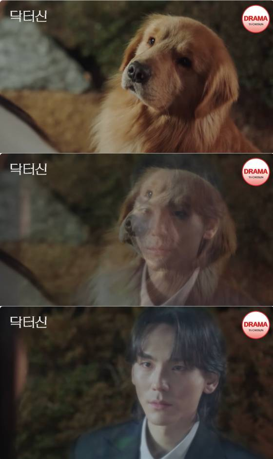 /사진=TV조선