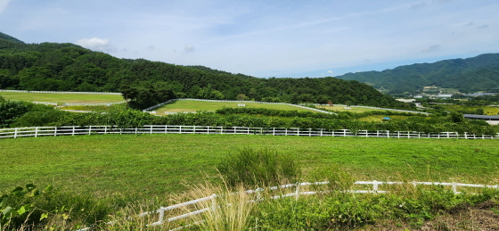 /Photo provided by Korea Racing Authority