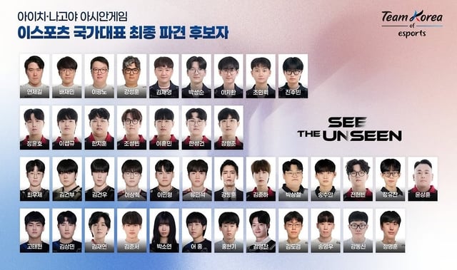 아이치·나고야 아시안게임 이스포츠 국가대표 명단. /사진=한국e스포츠협회