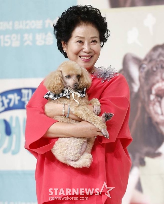 선우용여 /사진=스타뉴스
