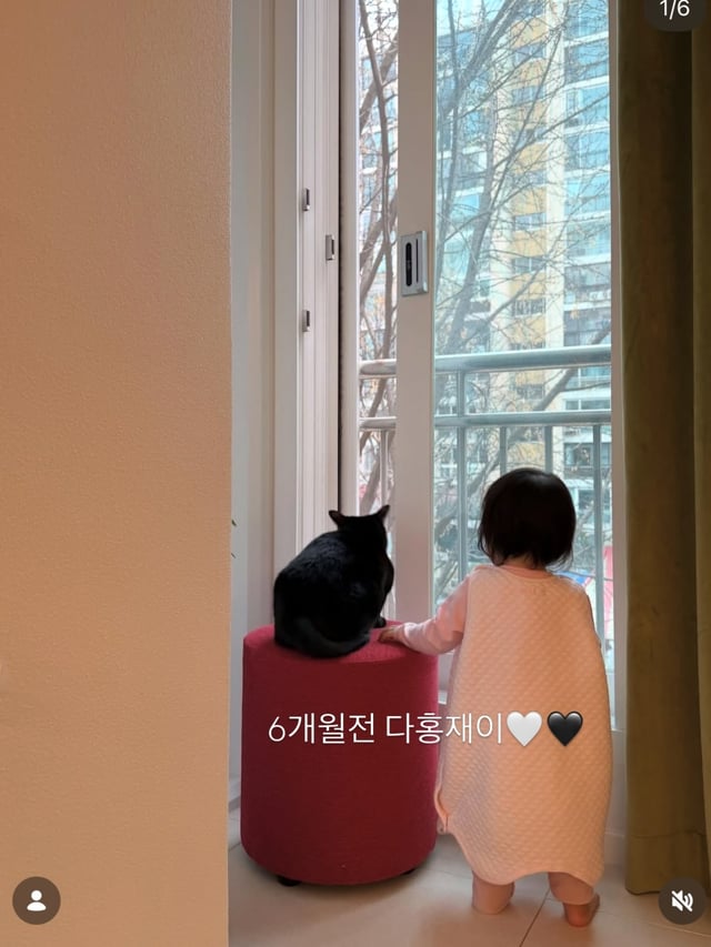 /사진=박수홍 SNS