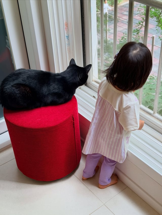 /사진=박수홍 SNS