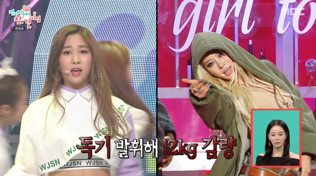 /사진=MBC '전지적 참견 시점' 방송화면