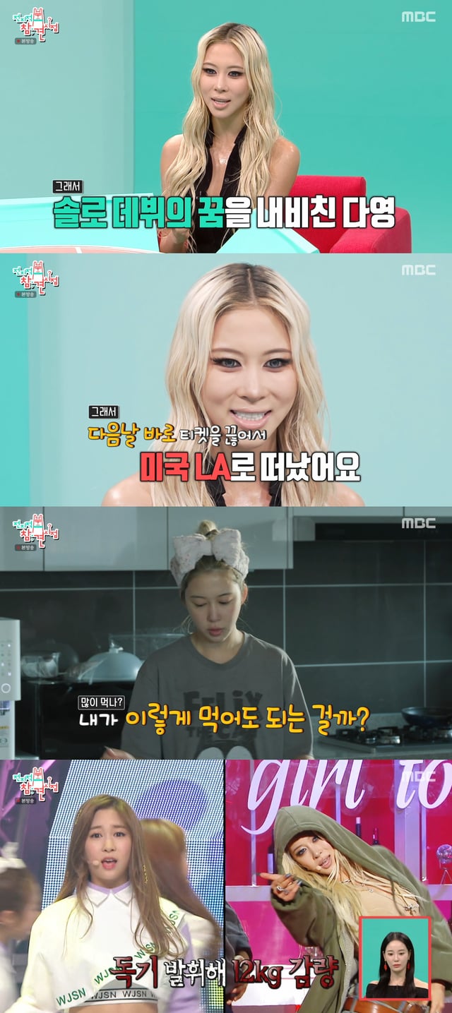 /사진=MBC '전지적 참견 시점' 방송화면