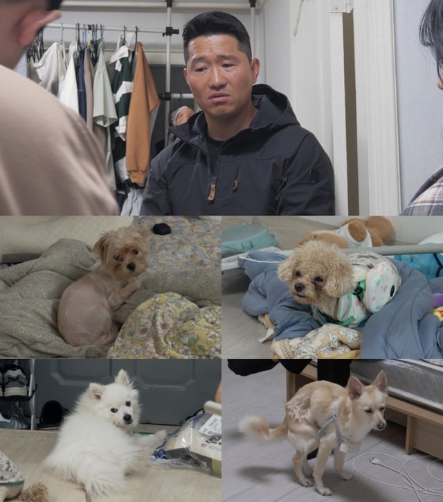 /사진=채널A