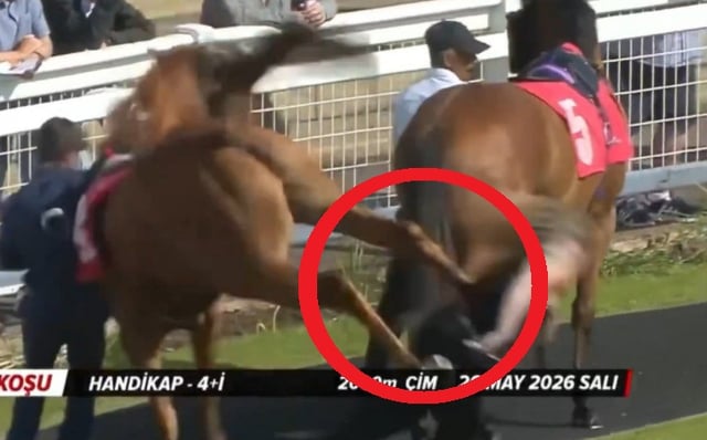 競走馬が女性管理士を後ろ足で蹴る姿。 /写真=中継画面のまとめ