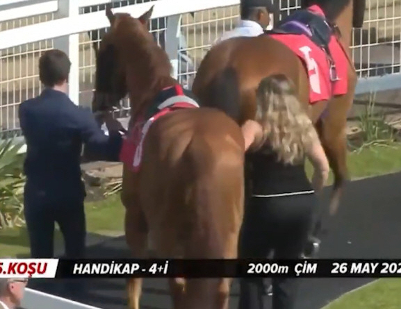 競走馬と女性管理士が試合のために歩いている。 /写真=中継画面のまとめ