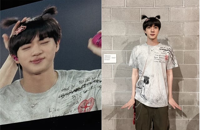 BTS Jin, Is He in His 30s? A Boyish Look with Twin Braids | STARNEWS