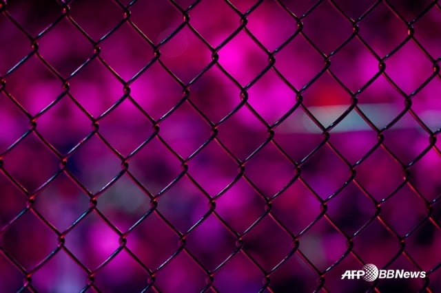 Image of the octagon cage. /AFPBBNews=NEWS1