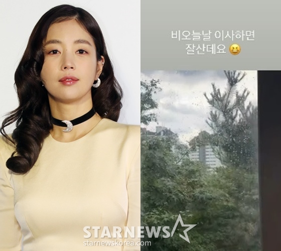 /사진=스타뉴스, 기은세 SNS