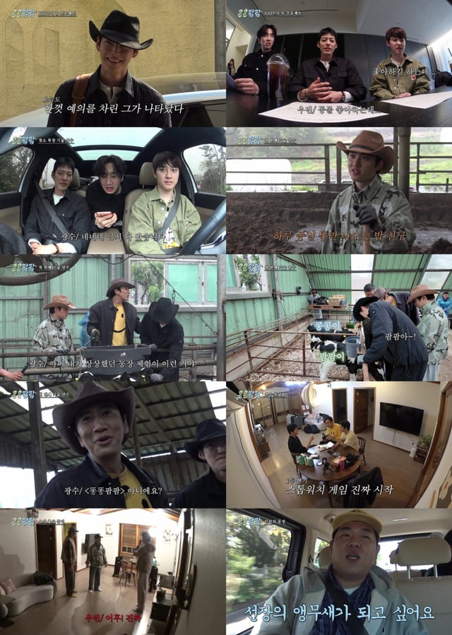 사진=tvN 콩콩팜팜