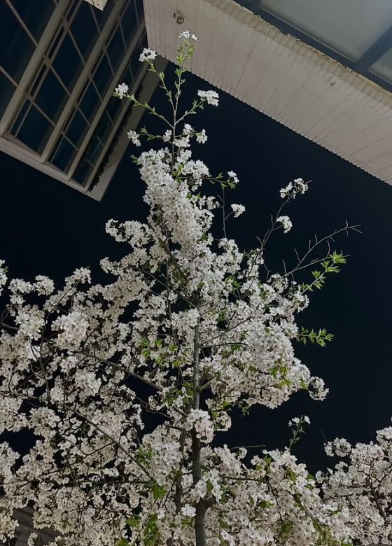 /사진=라비 SNS