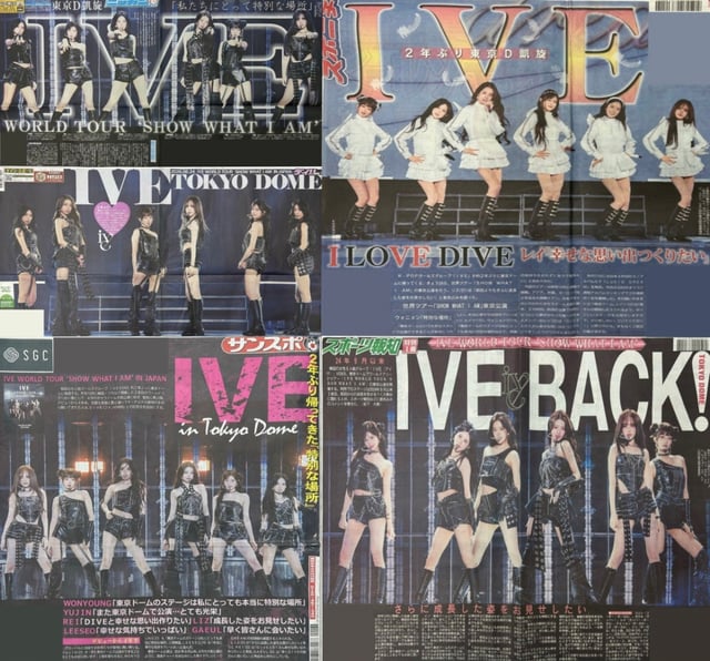 /사진=데일리 스포츠, 산케이 스포츠, 닛칸 스포츠, 스포츠 호치, 스포츠 닛폰