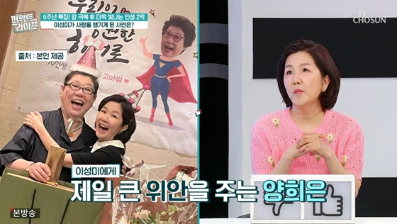 /사진=TV조선 '퍼펙트 라이프' 캡처