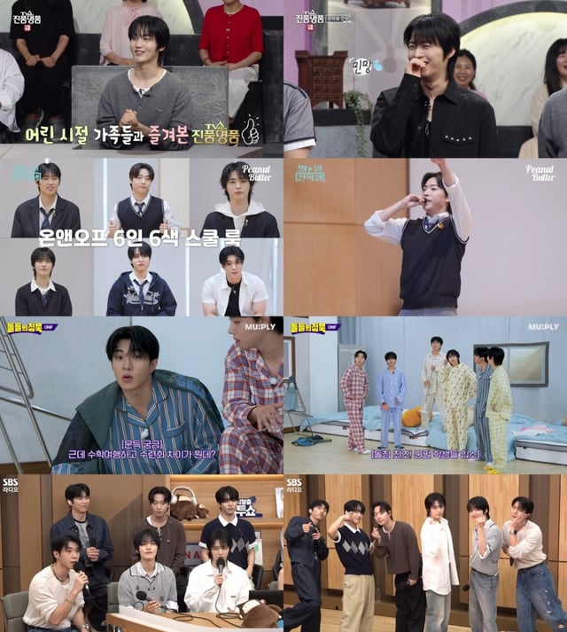 /사진=각 방송 캡처