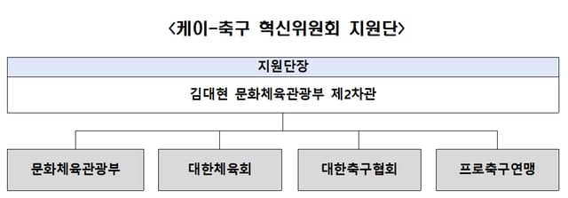 문화체육관광부 '케이-축구 혁신위원회' 구성. /사진=문화체육관광부 제공