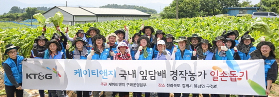 /사진제공=kt&g