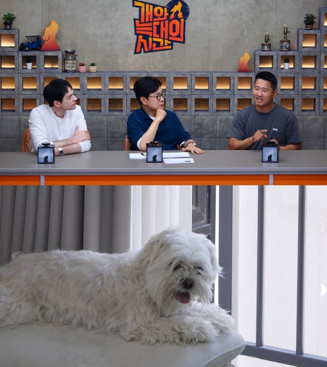 /사진=채널A