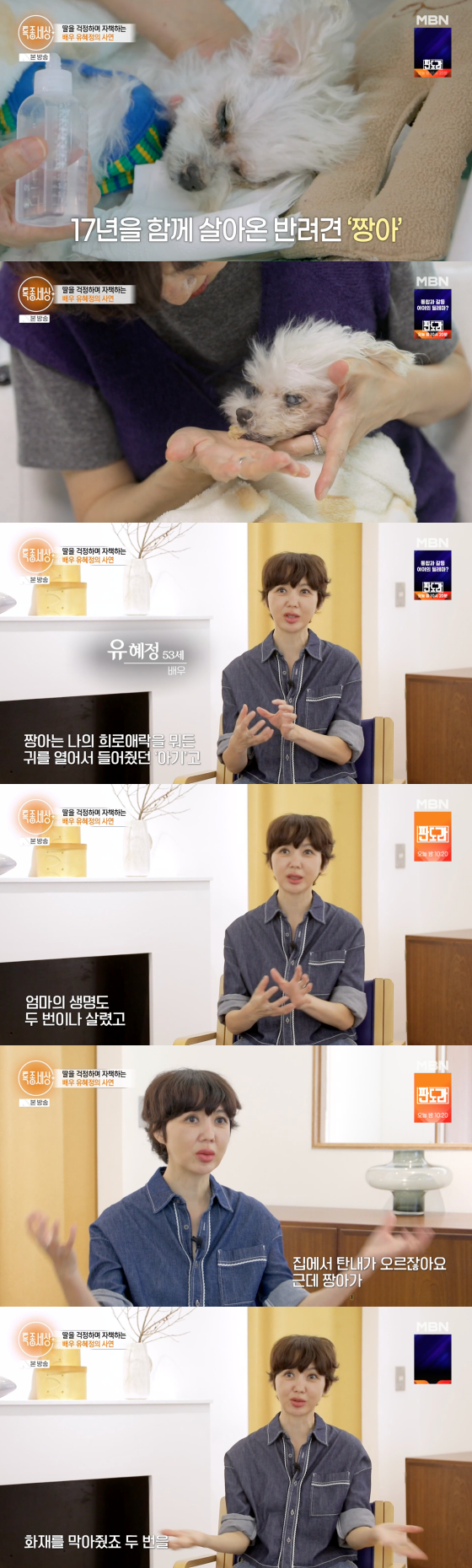 /사진=MBN 방송화면