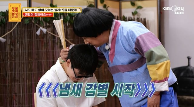 /사진= KBS Joy '무엇이든 물어보살'