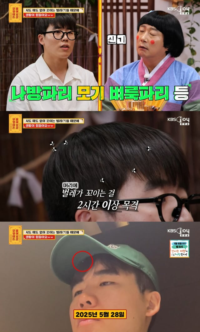 /사진= KBS Joy '무엇이든 물어보살'