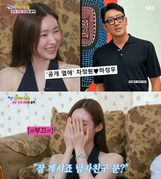 차정원, 하정우/사진=SBS