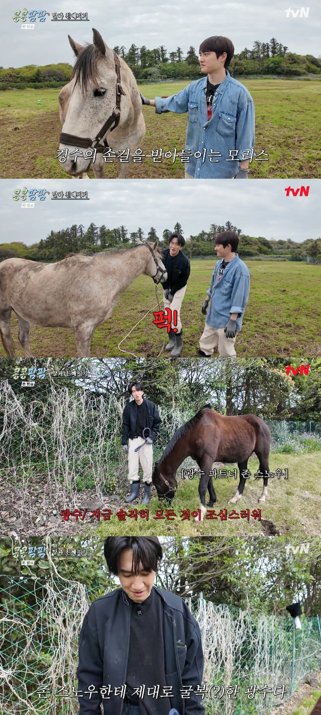 /사진=tvN 예능 프로그램 '콩콩팜팜' 방송화면