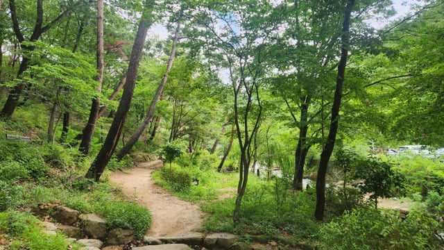 진관사 계곡 입구. 푸른 숲이 우거져 청량감이 높다