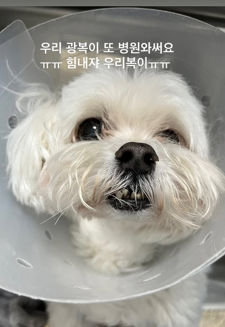 /Foto=Redes sociales personales de Park Seong-gwang