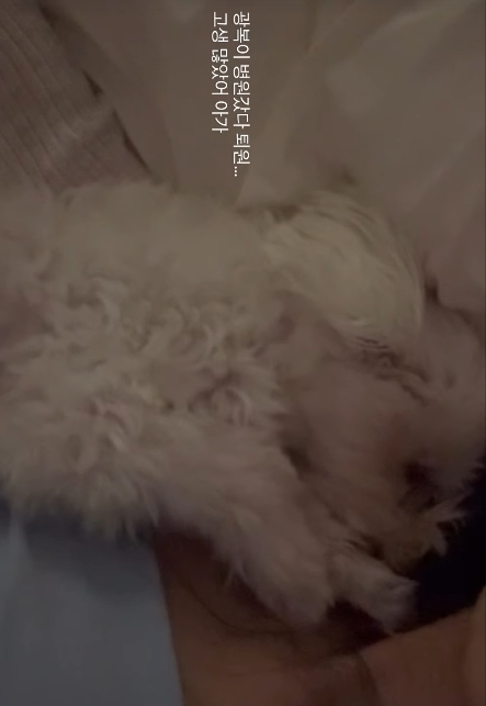 /Foto=Redes sociales personales de Lee Sol-i