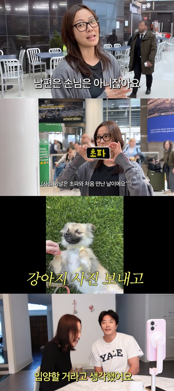 /사진=유튜브 채널 'Mrs 뉴저지 손태영' 캡처