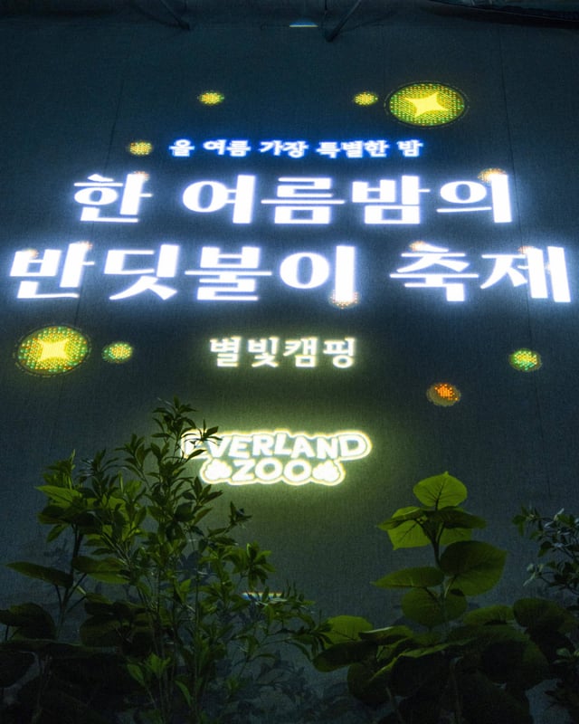 에버랜드 반딧불이 체험 /사진제공=에버랜드