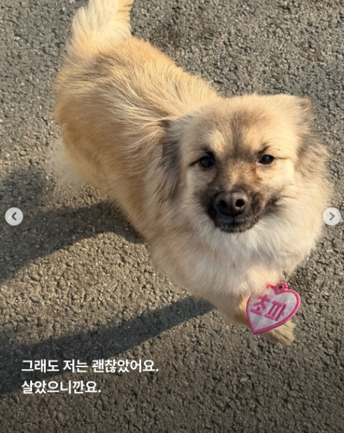 /사진=SNS
