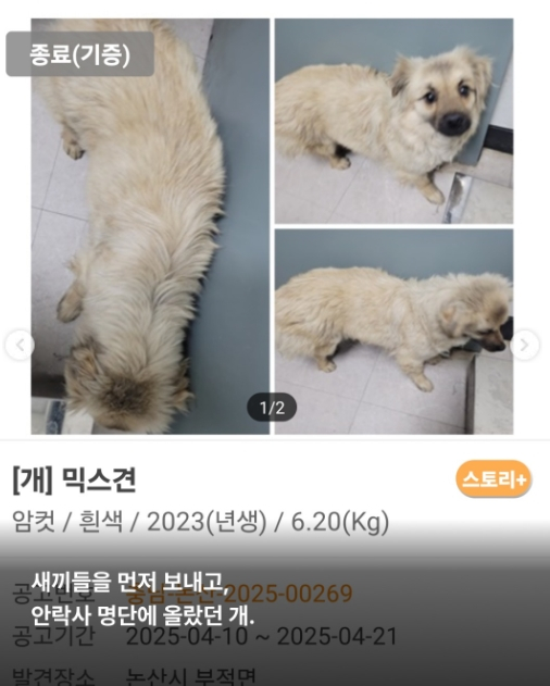 /사진=SNS