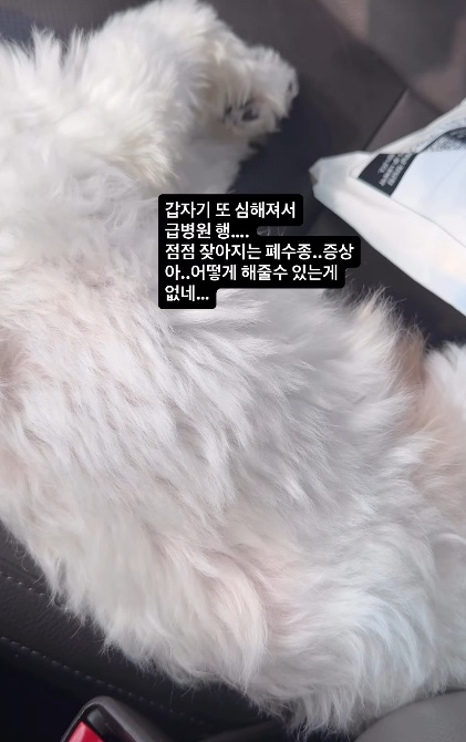 /사진=박성광 SNS
