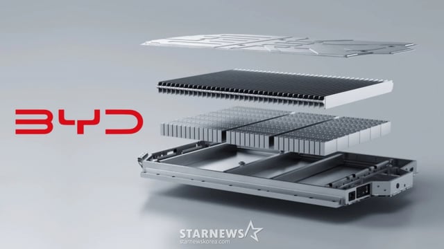 BYD 배터리