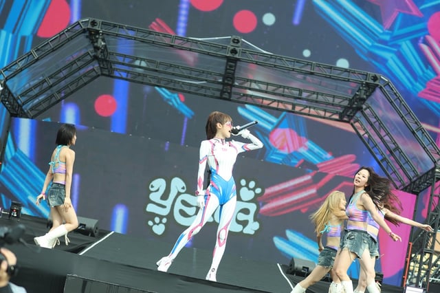 /사진=YH엔터테인먼트