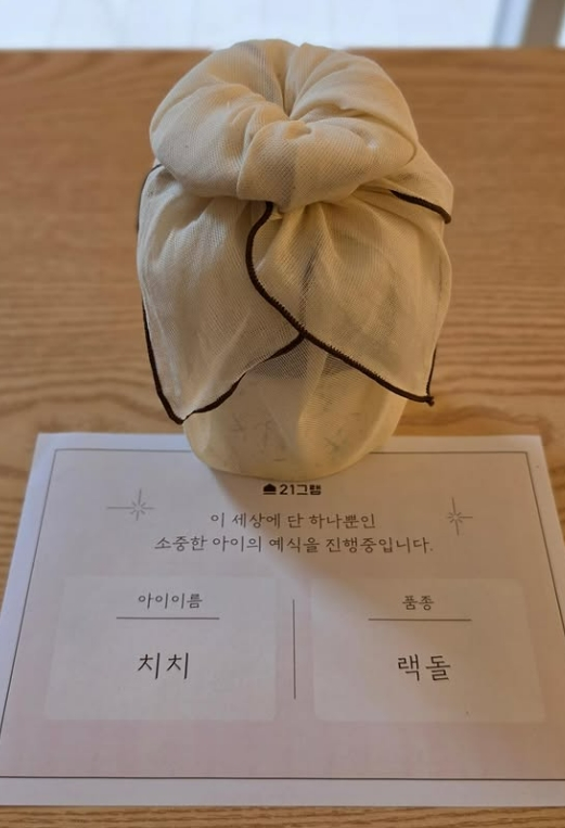/Photo=Kang Min-hyeok SNS
